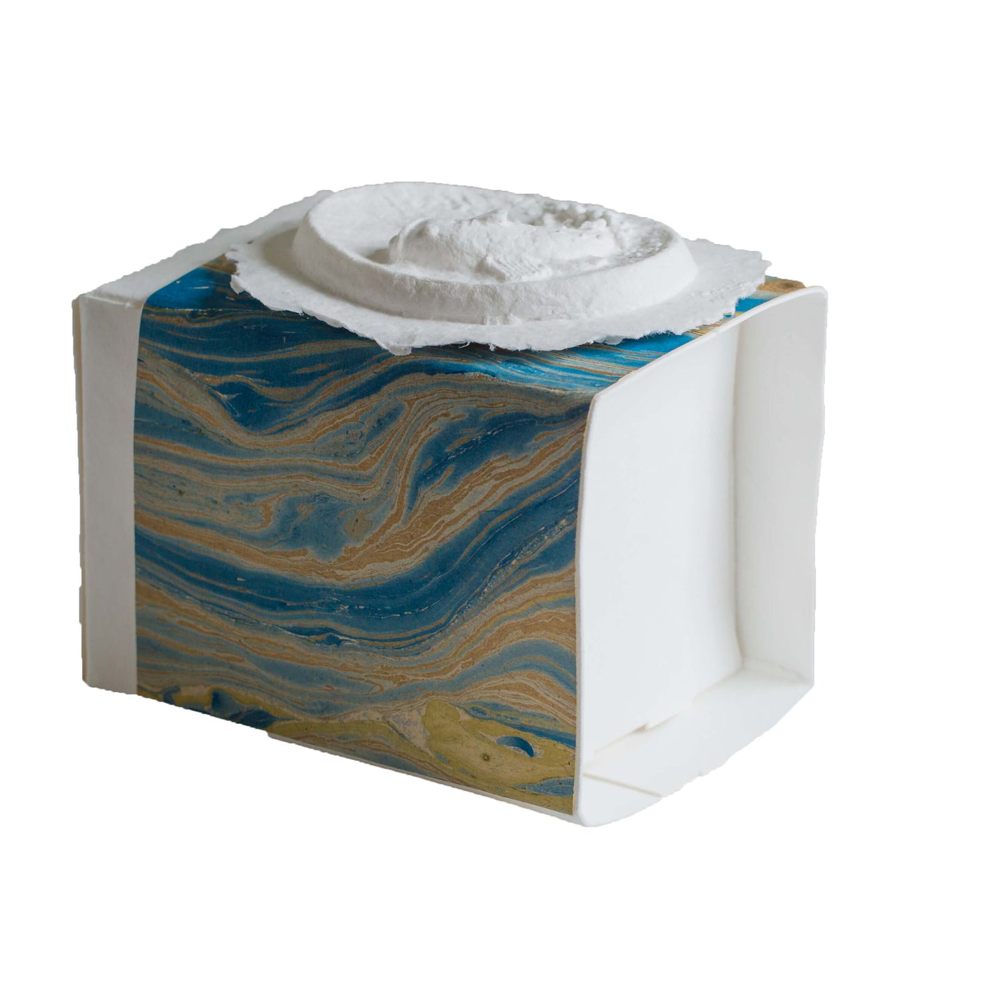 Fish Small - The FAVORITE PLACE® Small Burial Biodegradable Urn for Human Ashes, Ocean or Earth Burial Urn for Cremation