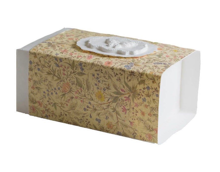 Butterfly - Scattering Biodegradable Urn Box for Human Ashes