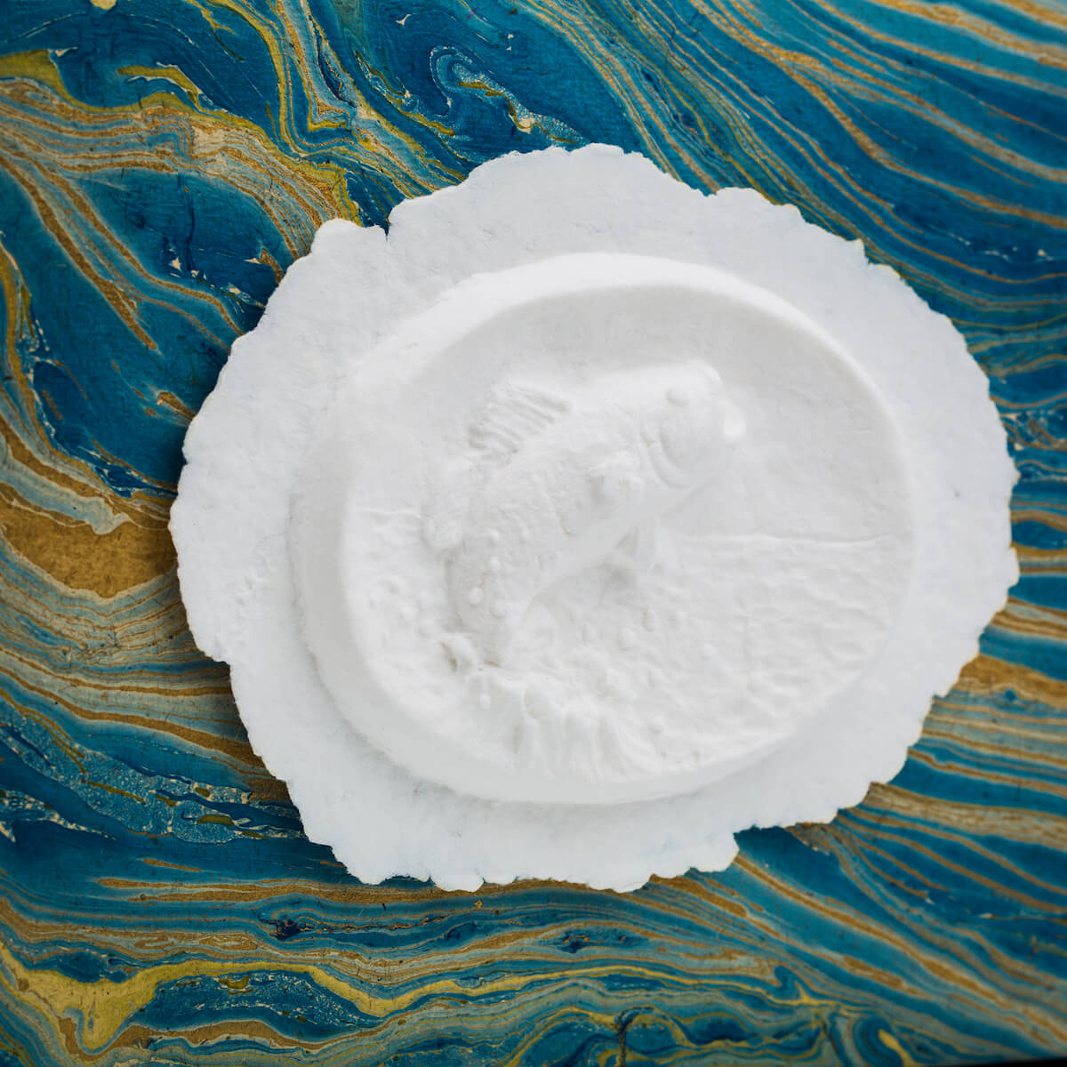 Fish - Scattering Biodegradable Cremation Urn Box for Human Ashes