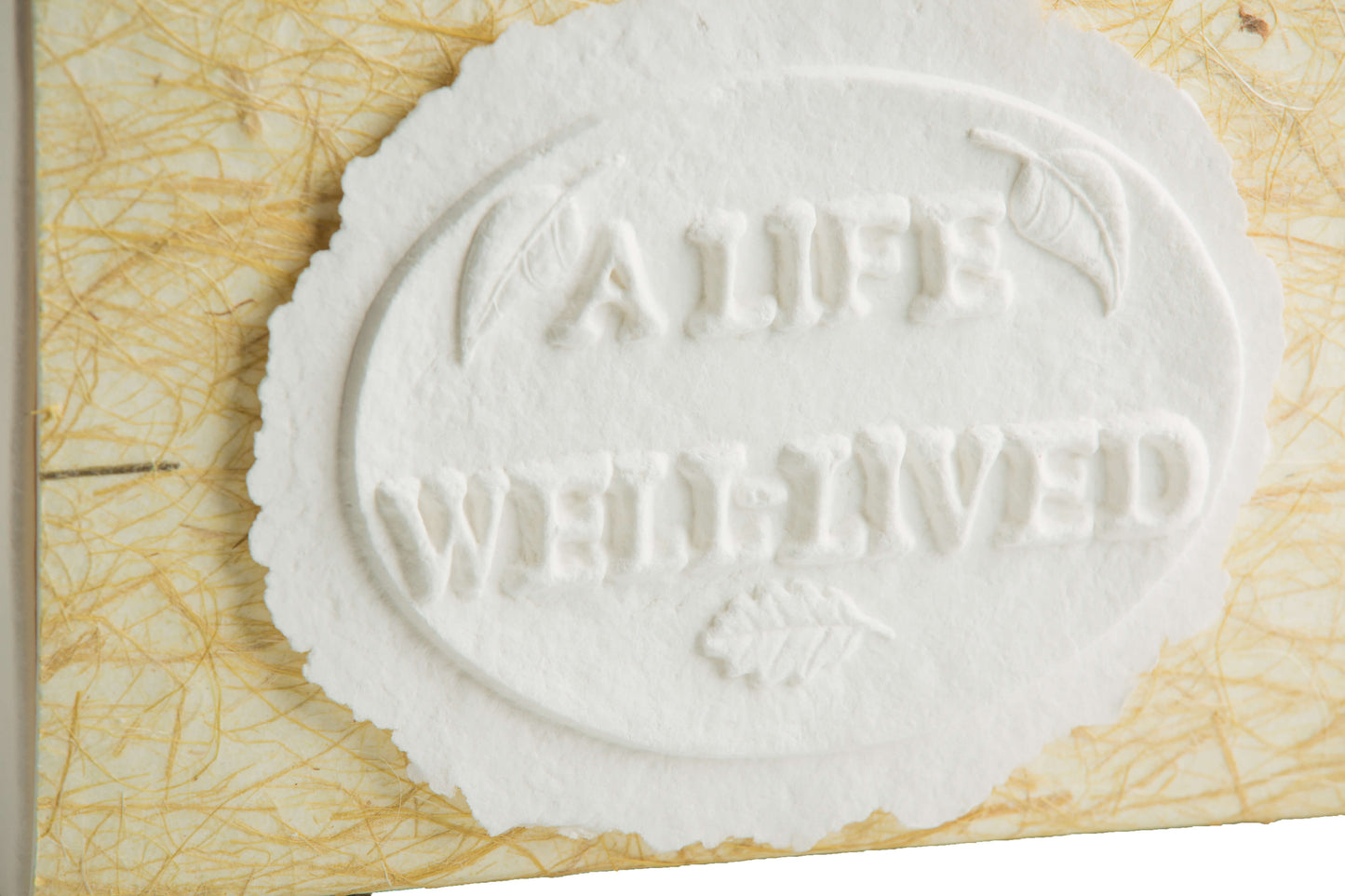 A Life Well Lived - Scattering Biodegradable Cremation Urn Box for Human Ashes