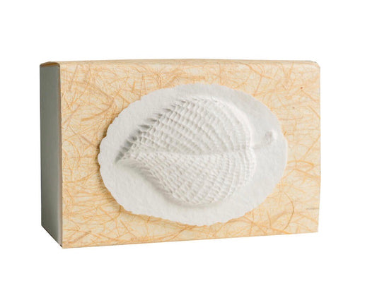 Leaf Box - Scattering Biodegradable Cremation Urn Box for Human Ashes