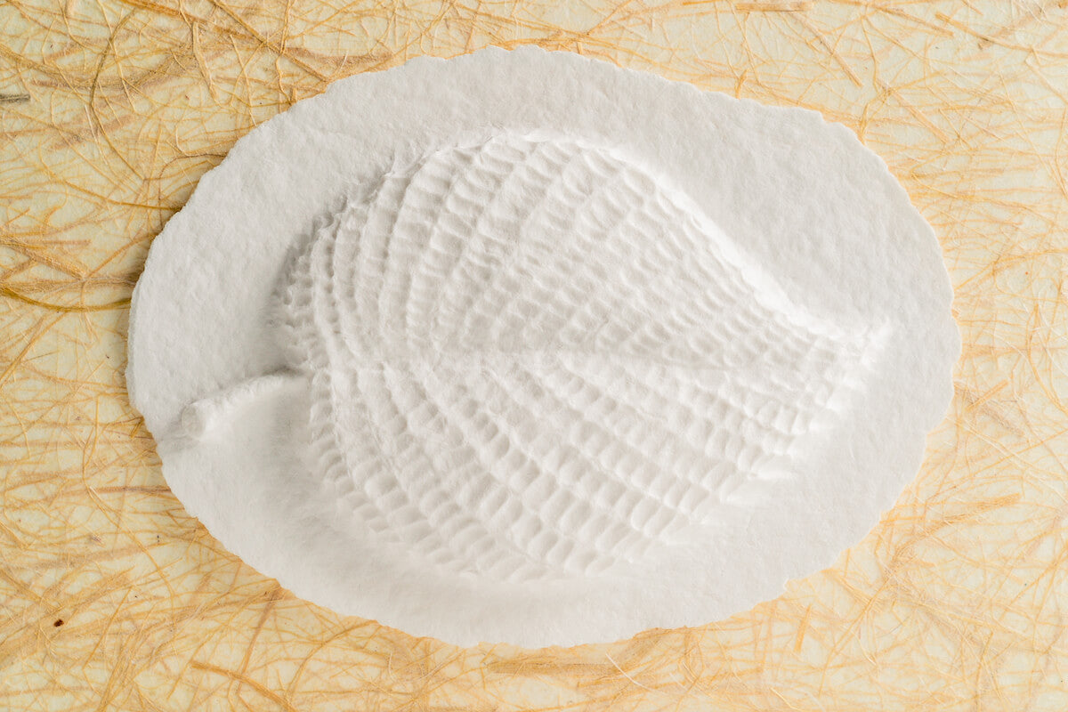 Leaf Box - Scattering Biodegradable Cremation Urn Box for Human Ashes