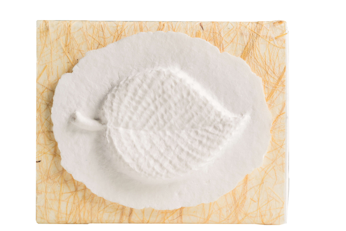 Leaf Small - The FAVORITE PLACE® Small Burial Biodegradable Urn for Human Ashes, Ocean or Earth Burial Cremation Urn