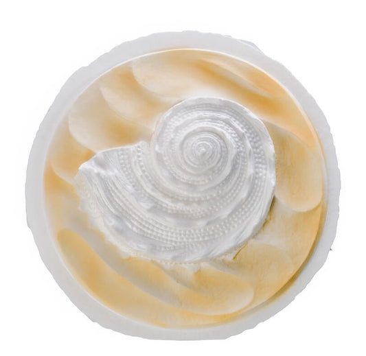 Oceanside Shell White - Water Scattering Biodegradable Cremation Urn for Human Ashes, Ocean Burial at Sea