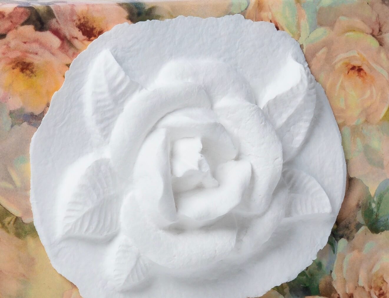 Rose Box - Scattering Biodegradable Cremation Urn Box for Human Ashes