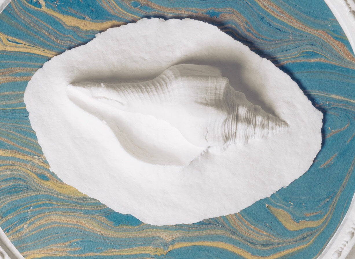 Ocean Blue Seashell - Water Scattering Biodegradable Cremation Urn for Human Ashes, Ocean Burial at Sea