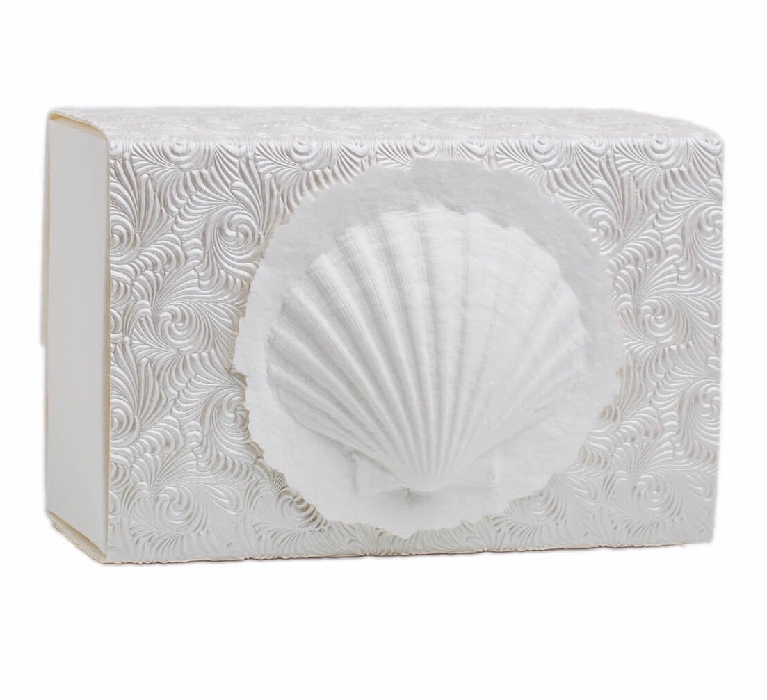 Shell - Scattering Biodegradable Cremation Urn Box for Human Ashes