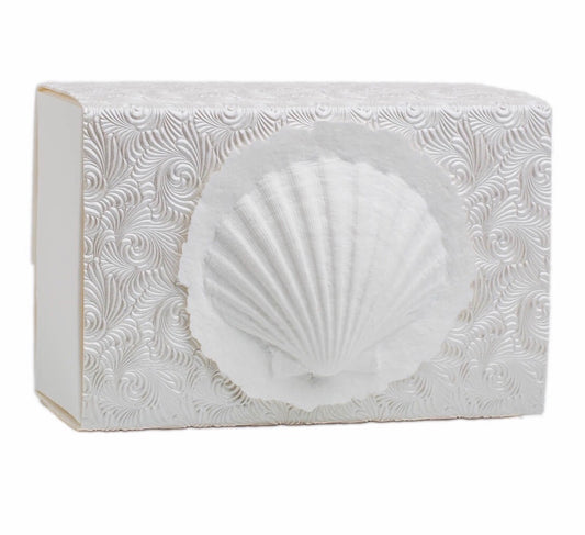 Shell - Scattering Biodegradable Cremation Urn Box for Human Ashes