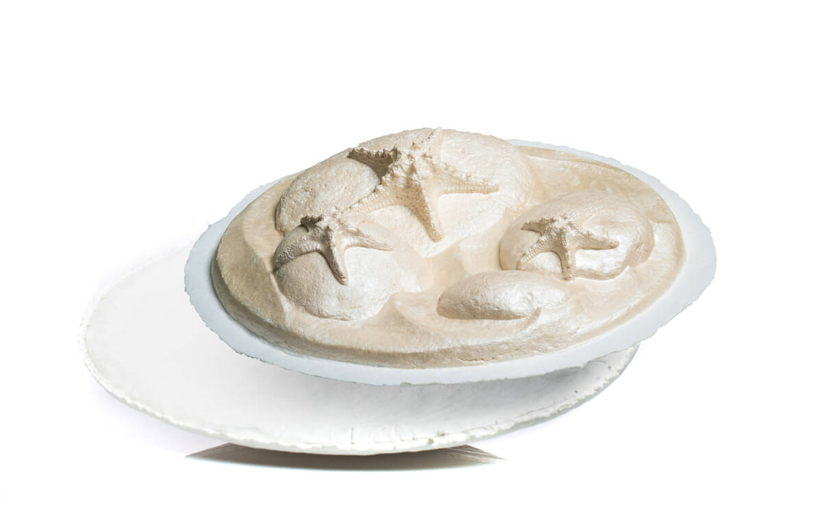 Starfish in the Sea - Water Scattering Biodegradable Cremation Urn for Human Ashes, Ocean Burial at Sea