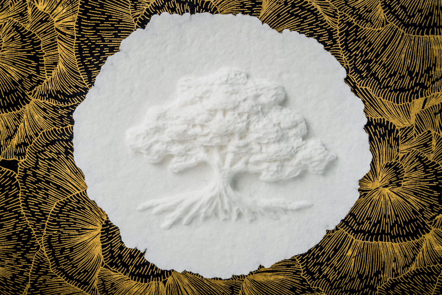 Tree of Life - Scattering Biodegradable Cremation Urn Box for Human Ashes