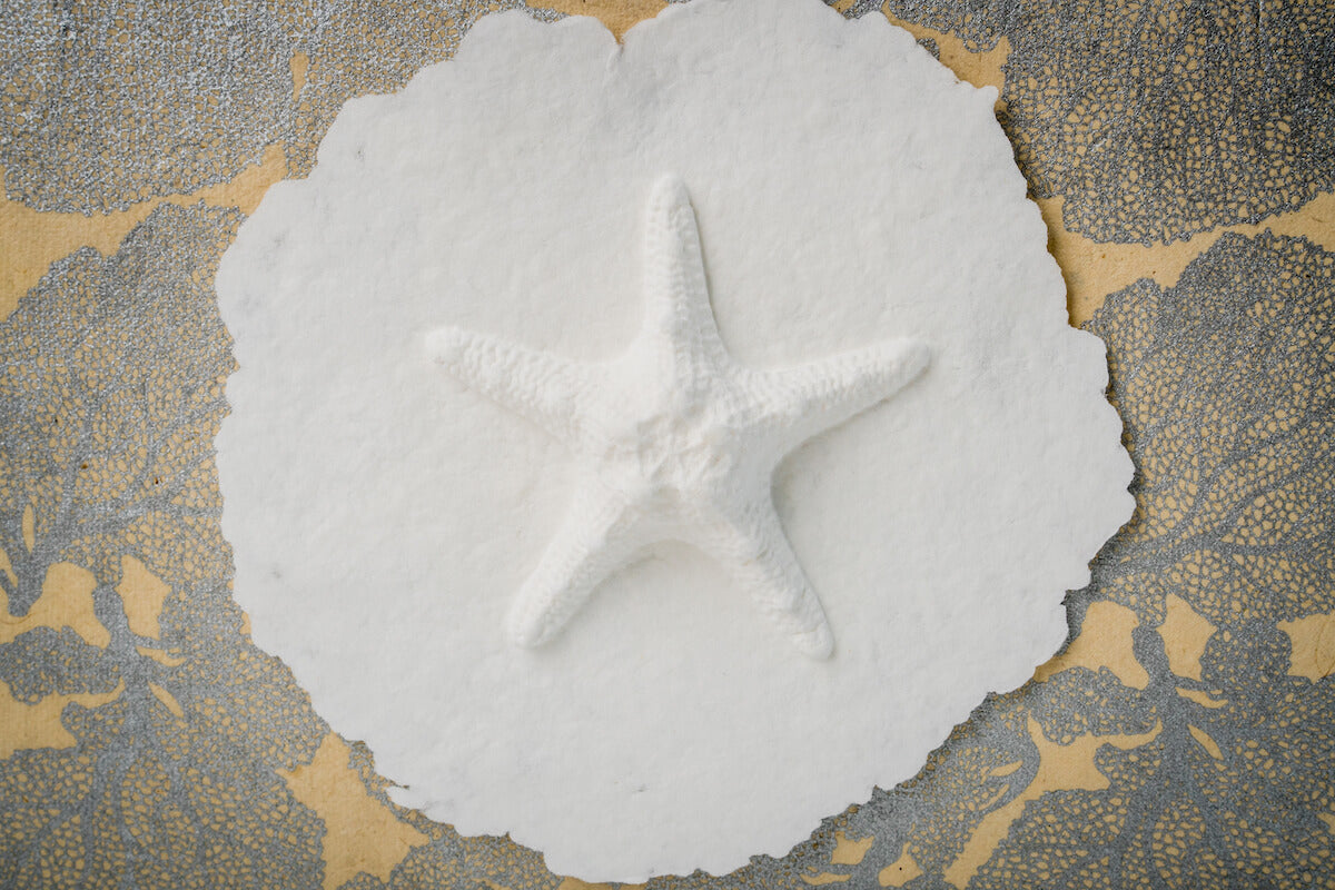 Starfish - Scattering Biodegradable Cremation Urn Box for Human Ashes